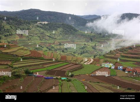 Poombarai Village in Kodaikanal, Tamil Nadu, India, on May 17, 2022. The Poombarai village is ...