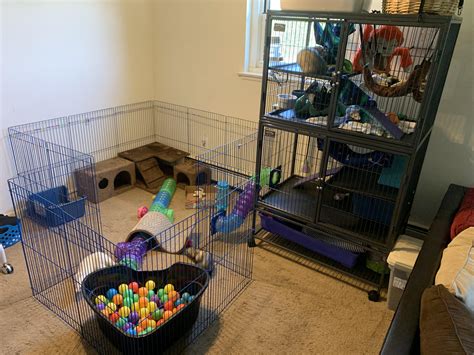 New Cage & Setup! : r/ferrets