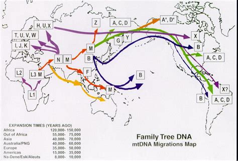 Migration Map | Mitochondrial dna, Family tree dna, Map