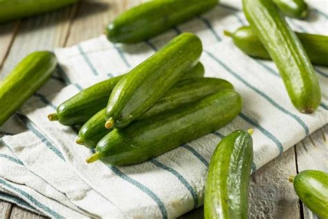 Persian Cucumbers: How to Plant, Grow, and Eat These Delicious Veggies - Minneopa Orchards