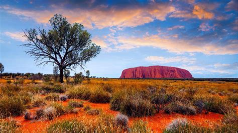 Uluru-Kata Tjuta National Park - nơi có những kỳ quan thiên nhiên phi thường của nước Úc - Tour 24H