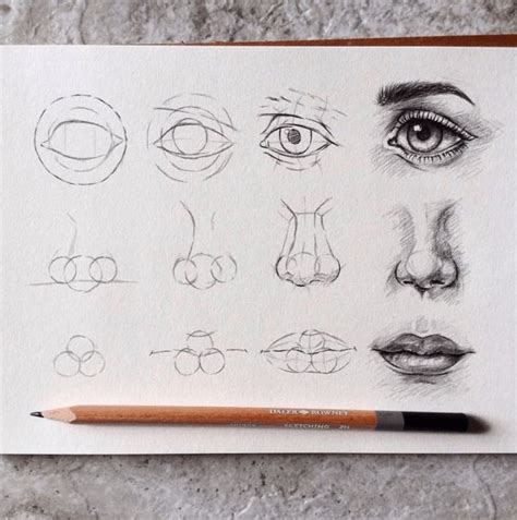 How to draw flowers | Realistic eye drawing, Realistic drawings ...