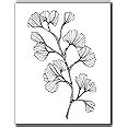 Amazon.com: Minimalist Black & White Ginkgo Leaf Wall Decor - 11x14" UNFRAMED Print - Botanical ...