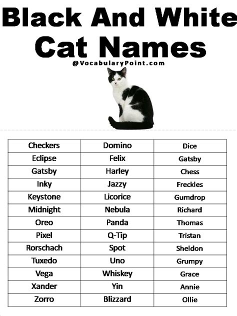 500+ Most Popular Cat Names in English - Vocabulary Point