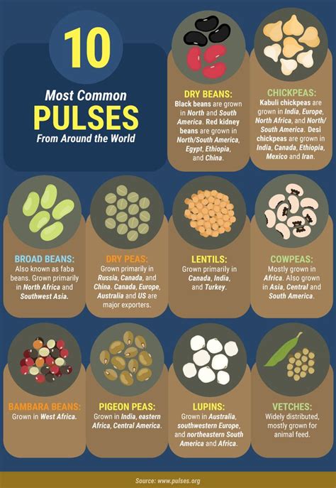 Everything You Need to Know about Pulses | Pulses recipes, Lentils benefits, Food facts