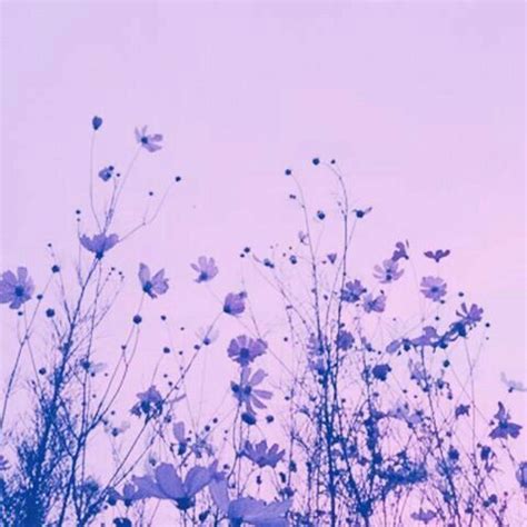 Color Lila Fondo Morado Aesthetic - lyrics-vatriciacedgar