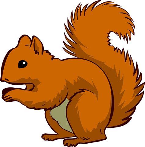 Free Squirrel Vector Art - Download 110+ Squirrel Icons & Graphics - Pixabay