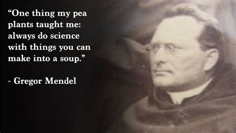 Gregor Mendel Quotes