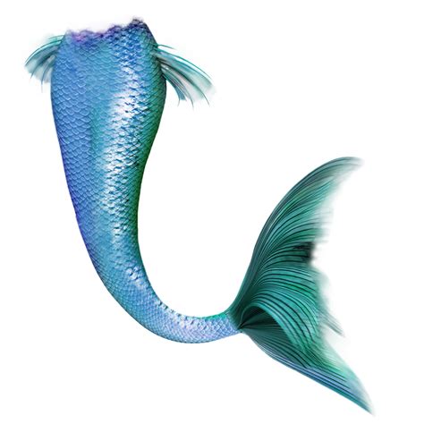 Blue Mermaid Tail ?? Transparent Mermaid Tail Png, Png Download Transparent Png Image PNGitem ...