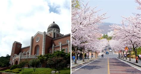 Daegu's Keimyung University Is So Beautiful Over 100 Films Have Been ...