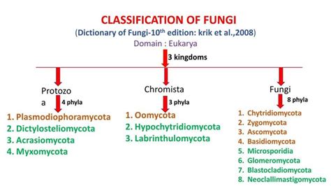 Classification of fungi by Dictionary of Fungi krik et al | Fungi, Types of classification ...