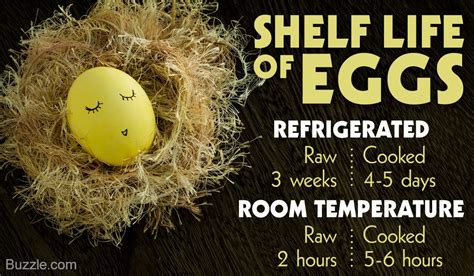 Shelf Life of Eggs | Eggs, How to cook eggs, Food shelf life