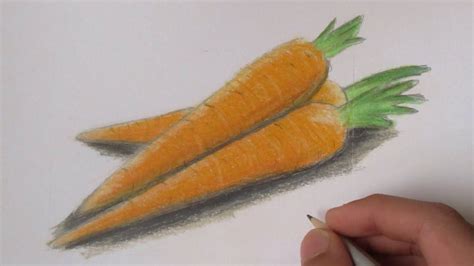 Realistic Carrots (Speed Drawing) - YouTube