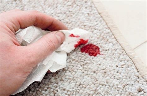 How to Get Blood Out of Carpet?