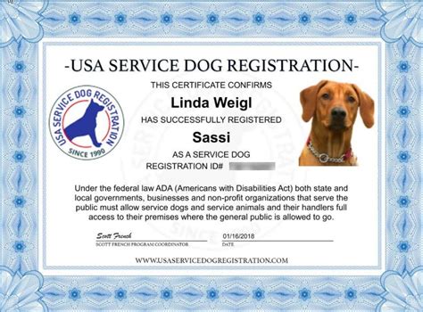 Service Dog Deluxe Vest and ID Package – USA Service Animal Registration