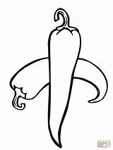 Chilli Pepper coloring Page  Free Printable Coloring Pages sketch template