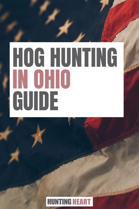 Hog Hunting in Ohio - Hunting Guide | Hog hunting, Hunting guide, Ohio hunting