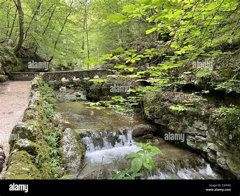 Trail through Verenaschlucht, Solothurn, Switzerland Stock Photo - Alamy