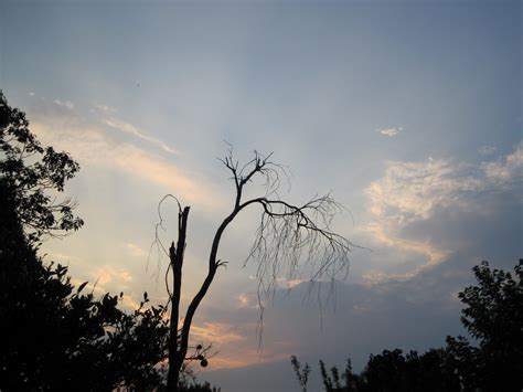 Soft Pink Sunset Clouds Free Stock Photo - Public Domain Pictures