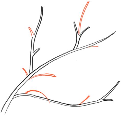 How to Draw Tree Branches Full of Leaves Drawing Tutorial - How to Draw Step by Step Drawing ...