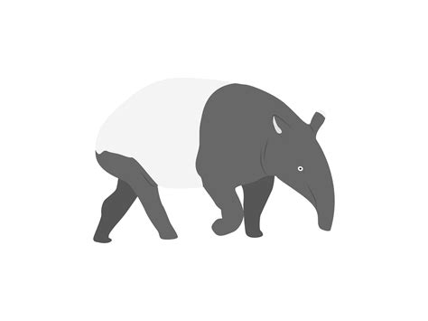 Tapir Animal Graphic by archshape · Creative Fabrica