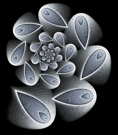 Fractal Art | Fractal art, Fractals, Patterns in nature