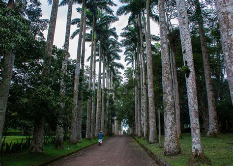 Aburi Botanical Gardens