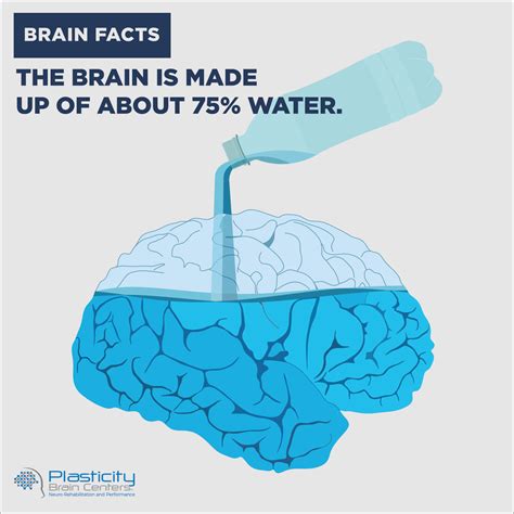 The brain is made up of about 75% water. plasticitybraincenters.com. #PlasticityBrainCenters # ...