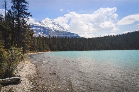 Glacier Lake, Banff National Park - The Most Enjoyable Trail Run