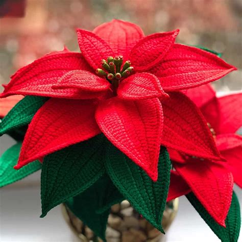 Crochet Poinsettia Pattern - Natagor Finlayson