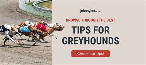 Free Greyhounds Betting Tips 2025 - Strategy, Odds, Predictions