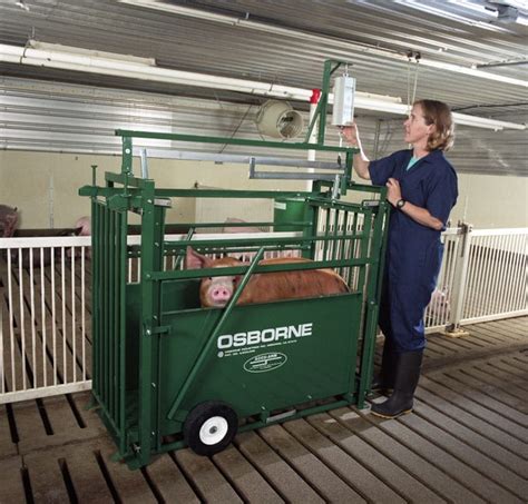 Benefits of Portable Livestock Weighing Scales | Osborne Livestock