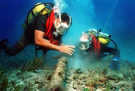 How to Become a Marine Biologist: Your Path to a Career Among the Waves