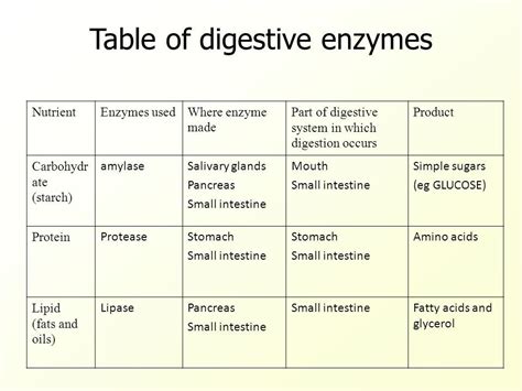 Enzymes biology, Biology facts, Digestion