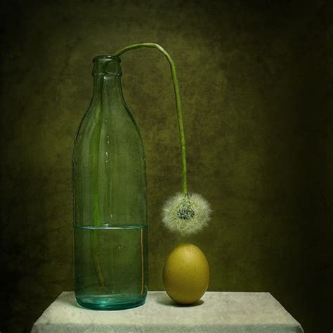 35 Superb Examples of Still Life Photography | Still life photography ...