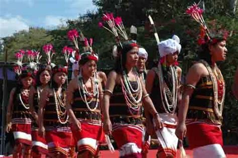 Tribes of the North East, Aptani Tribe, Naga Tribes, Manipuri Tribes