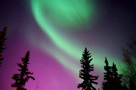 "Northern Lights from my back yard in Alaska." | Alaska northern lights, Northern lights, Travel ...