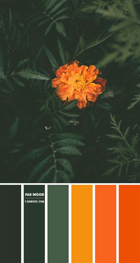 Forest Green and Burnt Orange Color Scheme – Color Palette #77 | Orange color schemes, Color ...