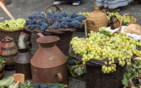 Autumn Wine Festivals in Tuscany 2019 | ITALY Magazine