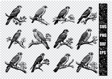 FALCON SVG, FALCON Clipart, Falcon Svg Files for Cricut, Camping Svg ...