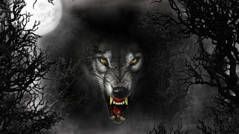 Scary Wolf Wallpapers - Top Free Scary Wolf Backgrounds - WallpaperAccess