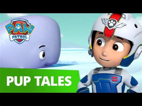 PAW Patrol | Pups and a Whale of a Tale! | Rescue Episode | PAW Patrol ...