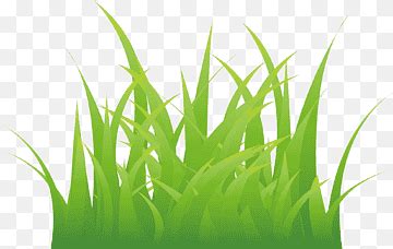 Cartoon grass, turf, green land, grassland png | PNGWing