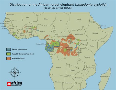 forest-elephant-map - Africa Geographic