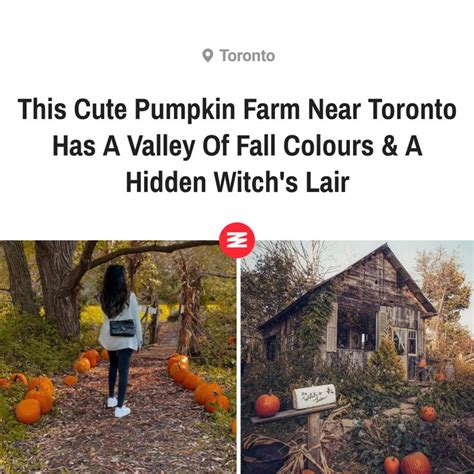 an image of a house with pumpkins on it and the words, this cute ...