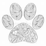 Bear Paw Coloring Page  Team sketch template