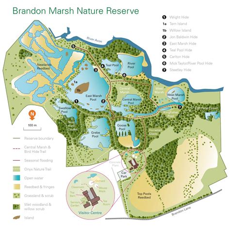 Jacqui Bricknell Environmental Interpretation: January 2012