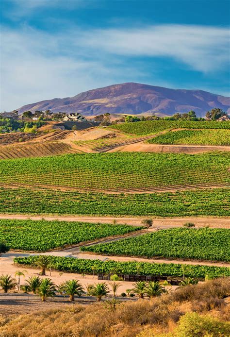 Sip Away and Discover America’s Lesser-Known Wine Regions — Daily Passport