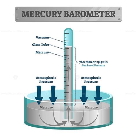 Mercury barometer vector illustration – VectorMine