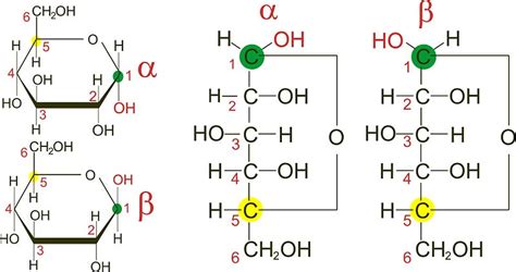 Difference Between Anomers and Epimers | Definition, Structure, Examples